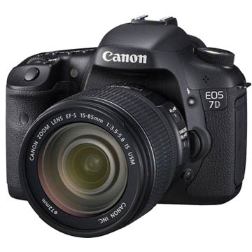 彩色鳥Canon7D出租