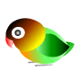 彩色鳥
